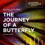 The Journey of a Butterfly