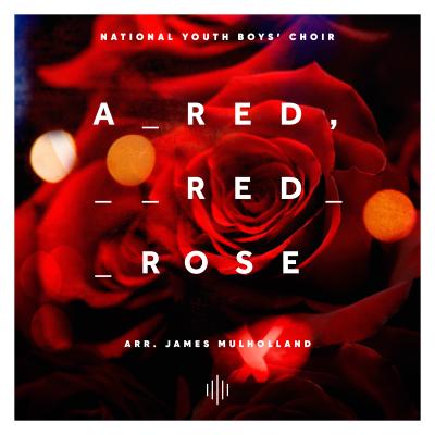 Mulholland: A Red, Red Rose