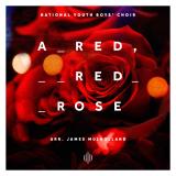 Mulholland: A Red, Red Rose